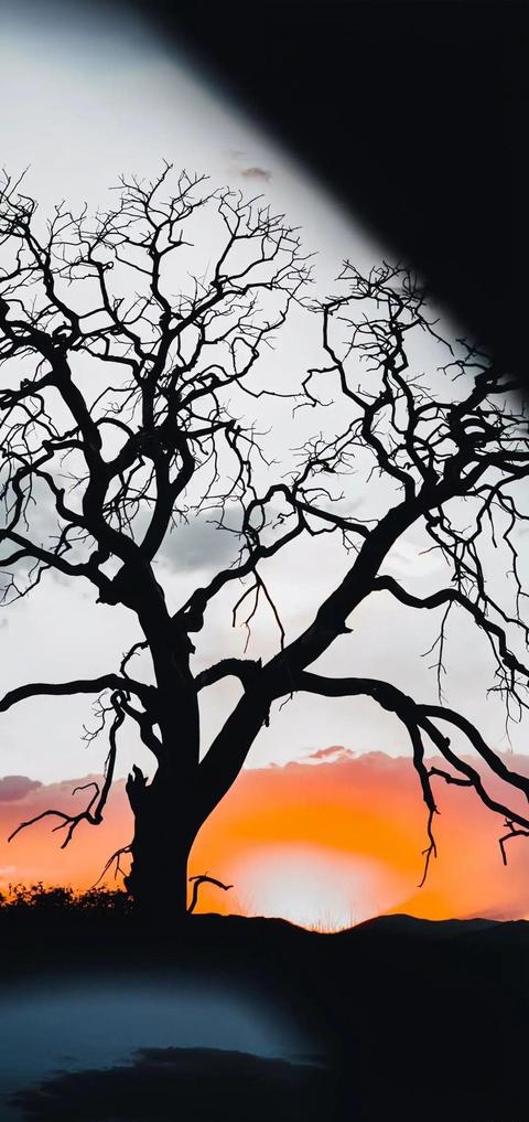 壁纸 | 好用耐看的高级感锁屏壁纸 